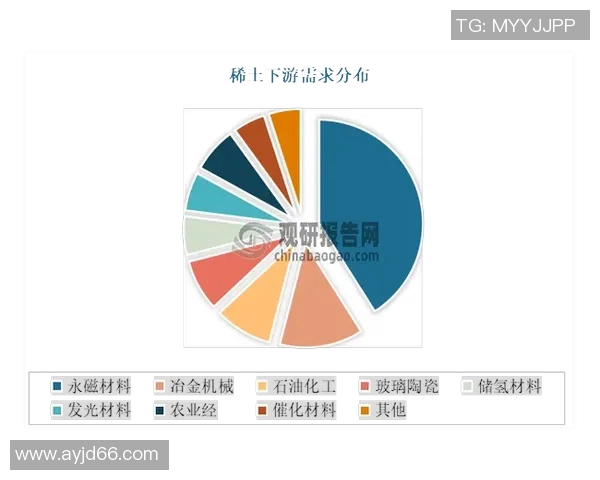 探索弗格的魅力与影响力揭示其在现代社会中的重要地位与价值